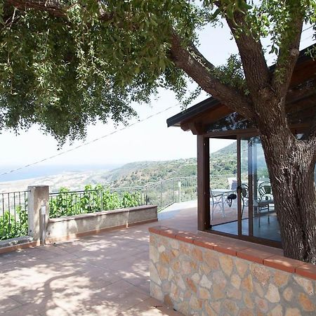 B&B Le Rose Del Tirreno Falerna Eksteriør bilde