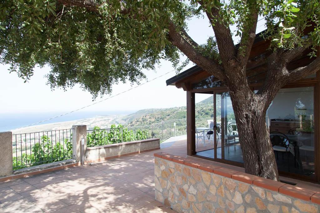 B&B Le Rose Del Tirreno Falerna Eksteriør bilde